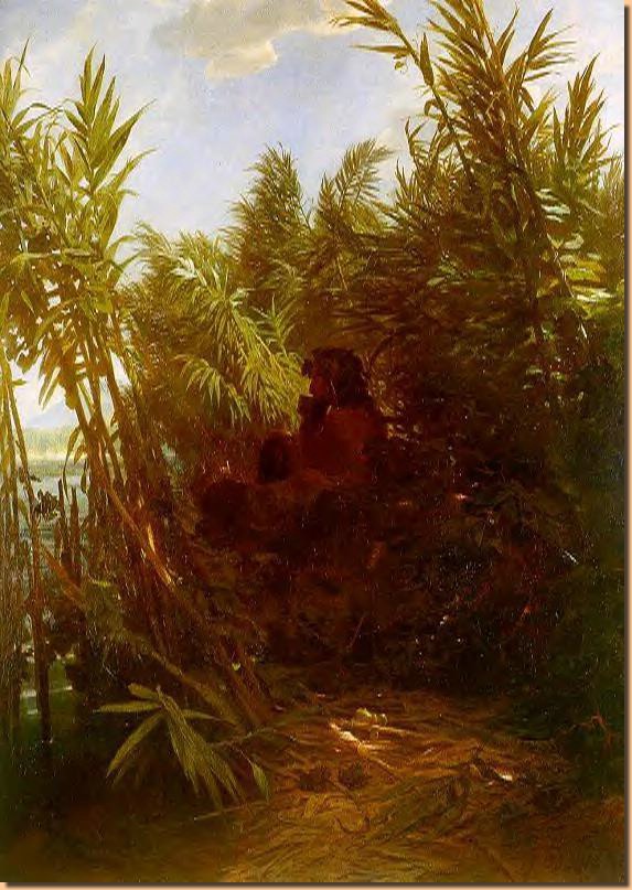 pan amobgst the reeds.jpg