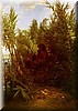 pan amobgst the reeds.jpg