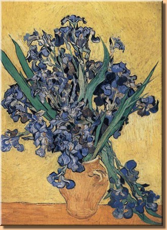 iris.jpg
